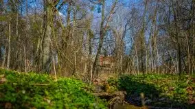 Zdjęcia: Pałac w Skandławkach – do kupienia romantyczna pozostałość dawnych Mazur - zdjęcie 13