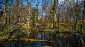 Zdjęcia: Pałac w Skandławkach – do kupienia romantyczna pozostałość dawnych Mazur - zdjęcie 44