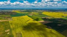 Mazurskie pola rzepaku na początku maja 2020 r. - zdjęcie 18