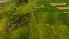 Mazurskie pola rzepaku na początku maja 2020 r. - zdjęcie 32