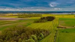 Mazurskie pola rzepaku na początku maja 2020 r. - zdjęcie 14