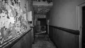 Cień historii sprzed kilkudziesięciu lat w jednym z pałacyków - zdjęcie 43