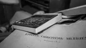 Cień historii sprzed kilkudziesięciu lat w jednym z pałacyków - zdjęcie 29