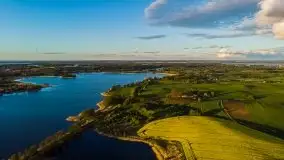 Złoto w kolorach słońca i rzepaku, maj 2020.r - zdjęcie 13