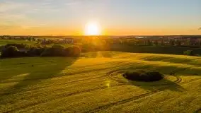 Złoto w kolorach słońca i rzepaku, maj 2020.r - zdjęcie 36