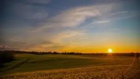 Złoto w kolorach słońca i rzepaku, maj 2020.r - zdjęcie 56