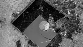 Niemy świadek mazurskich jezior spoczywa koło Rynu - zdjęcie 42