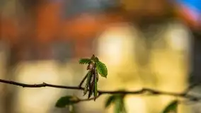 Jeden z piękniejszych pałaców na Mazurach - Łężany - zdjęcie 69