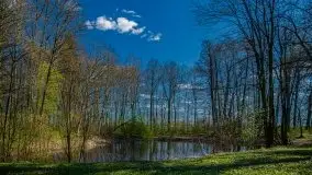 Pałacyk w Rodelach - kolejny świadek historii - zdjęcie 40