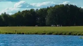 Zdjęcia: Poradnik - motorowodne Mazury - jeziora Święcajty, Stręgiel - zdjęcie 18