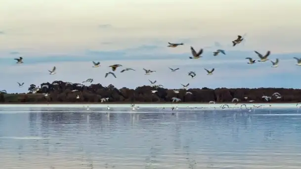 Zdjęcia: Poradnik - motorowodne Mazury - jeziora Dobskie i Łabap - zdjęcie 8