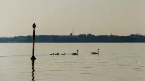 Zdjęcia: Poradnik - motorowodne Mazury - jezioro Niegocin - zdjęcie 23