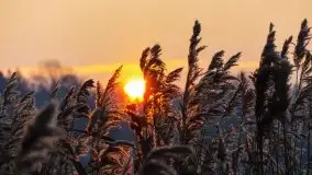 Zdjęcia: Poradnik - motorowodne Mazury - jezioro Boczne - zdjęcie 12