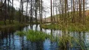 Zdjęcia: Poradnik - motorowodne Mazury - jezioro Tałty - zdjęcie 22