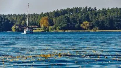 Zdjęcia: Poradnik - motorowodne Mazury - jezioro Bełdany
