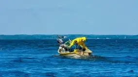 Zdjęcia: Poradnik - motorowodne Mazury - jezioro Śniardwy - zdjęcie 8