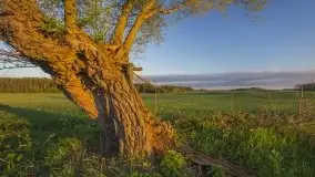 Wschód to nie tylko słońce, to także przejmująca cisza - zdjęcie 25