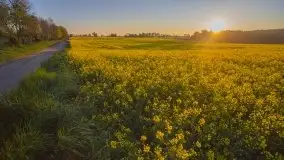 Wschód to nie tylko słońce, to także przejmująca cisza - zdjęcie 16