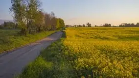 Wschód to nie tylko słońce, to także przejmująca cisza - zdjęcie 27