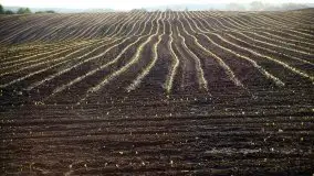 Wschód to nie tylko słońce, to także przejmująca cisza - zdjęcie 20