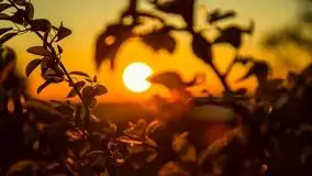 Zachód słońca widoczny z Grodzisko Święta Góra - zdjęcie 43