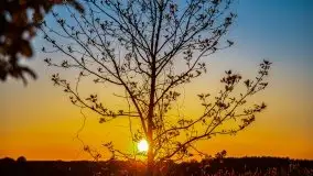 Zachód słońca widoczny z Grodzisko Święta Góra - zdjęcie 42