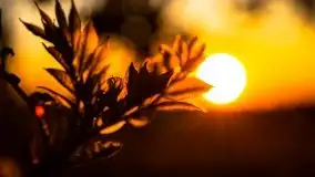 Zachód słońca widoczny z Grodzisko Święta Góra - zdjęcie 46