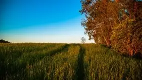 Zachód słońca widoczny z Grodzisko Święta Góra - zdjęcie 34