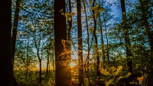 Kolejny raz magia zachodu słońca, okolice jez. Jagodne - zdjęcie 5