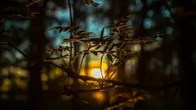 Kolejny raz magia zachodu słońca, okolice jez. Jagodne - zdjęcie 11