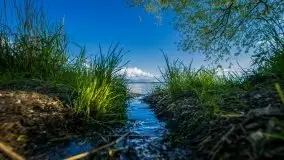 Miłośnicy Mazur - majowe Mazury na zdjęciach Staszka Sielewicza - zdjęcie 17