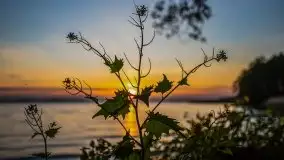 Majowy zachód słońca nad jeziorem Dargin - zdjęcie 30