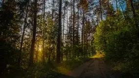 Zachód słońca w okolicy Kut i jeziora Czarna Kuta - zdjęcie 3