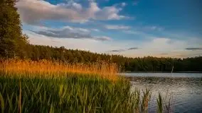 Zachód słońca w okolicy Kut i jeziora Czarna Kuta - zdjęcie 11