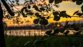 Zachód słońca w okolicy Kut i jeziora Czarna Kuta - zdjęcie 9