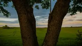 Zachód słońca w okolicy Kut i jeziora Czarna Kuta - zdjęcie 28