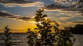 Wieczór nad Niegocinem i Grajewkiem - zdjęcie 8