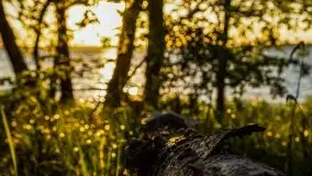 Wieczór nad Niegocinem i Grajewkiem - zdjęcie 6