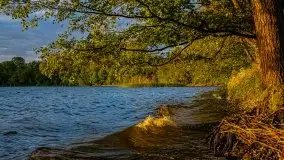 Wieczór nad Niegocinem i Grajewkiem - zdjęcie 18