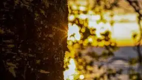 Wieczór nad Niegocinem i Grajewkiem - zdjęcie 10