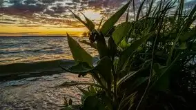 Wieczór nad Niegocinem i Grajewkiem - zdjęcie 15