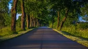 Magiczny, czerwcowy zachód słońca w Sztynorcie - zdjęcie 10