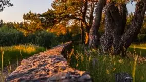 Wieczorne słońce nad jeziorem Święcajty - zdjęcie 22