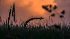 Zachód słońca w okolicach miejscowości Miłki - zdjęcie 18