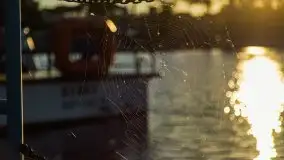 Wschód słońca w Giżycku, jezioro Niegocin - zdjęcie 80