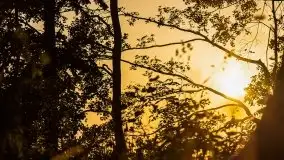 Zachód słońca Pierkunowski Róg - zdjęcie 18