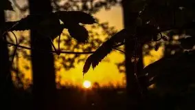 Zachód słońca Pierkunowski Róg - zdjęcie 40