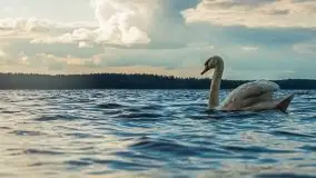 Zachód słońca nad jeziorem Gołdopiwo - zdjęcie 30