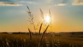 Niegocin migoczący w zachodzącym słońcu - zdjęcie 20