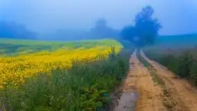 Mazurski poranek we mgle - zdjęcie 9